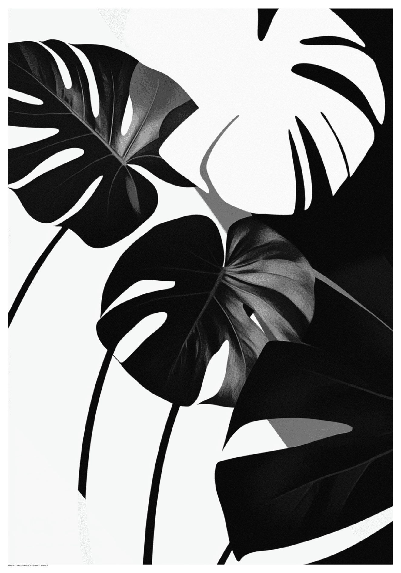 Monstera svartvit botanisk poster stilren växtmotiv